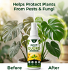 Pest Guard Plant Protect Spray - 🔥Buy 1 Get 2 Free🔥🔥