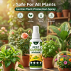 Pest Guard Plant Protect Spray - 🔥Buy 1 Get 2 Free🔥🔥