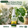 Pest Guard Plant Protect Spray - 🔥Buy 1 Get 2 Free🔥🔥