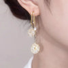 📢📢50% OFF !! ⏰Elegant Artificial Crystal Tassel Drop Earrings